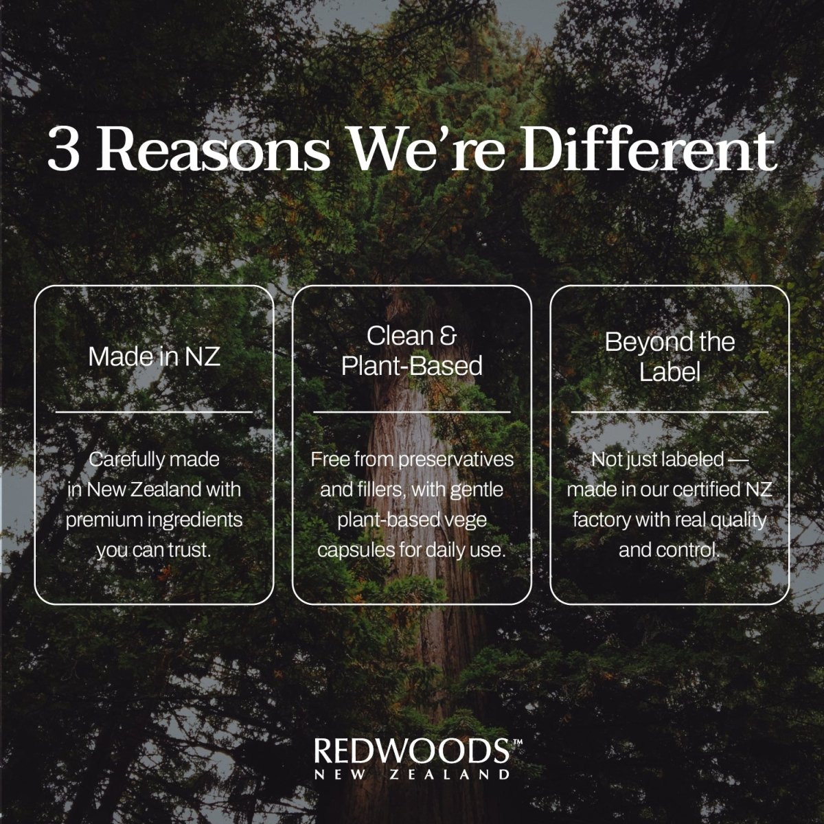 Cranberry 60,000 60 capsules - REDWOODSNZ
