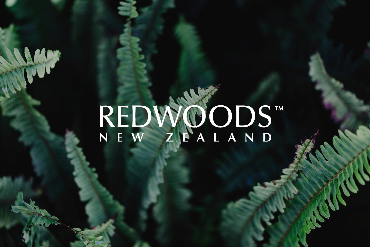 Start Well, Live Well: The Beginning of Redwoods' Daily Wellness - REDWOODSNZ
