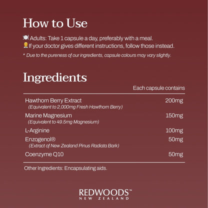 Blood Pressure Care 60 capsules - REDWOODSNZ